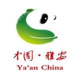 四川雅安