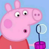 我被遗忘的回忆