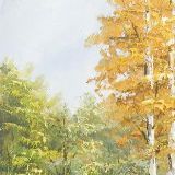 秋行娱乐小分队