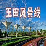 玉田风景线