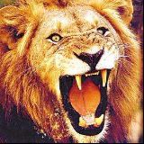 托起白天的笑场