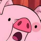 一个吃喝玩乐的小可爱