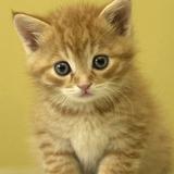 大话娱乐天天看