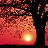 娱乐八卦趣事馆