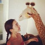 橘子味的长颈鹿