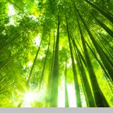融资租赁实务操作