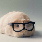 昼夜影视公共号