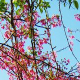 窦昂雄喜欢娱乐