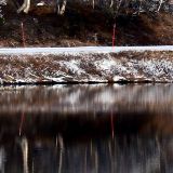 欧阳不纠结娱乐