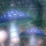 破烂娱乐小分队