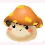 新宝宝树育儿课堂