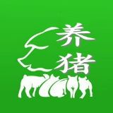 掌上养猪