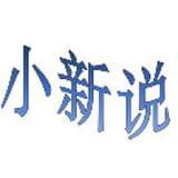 小新说历史