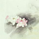 农村农民致富经