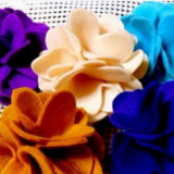 佳佳儿品味生活