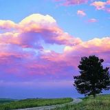 娄依依生活专家