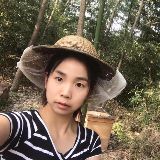 蜂丫头小汤