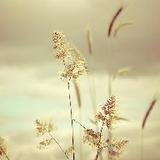 小小科技那些事儿