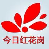 今日红花岗
