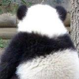 吾梦朋波走逆歪