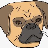 狗爷的游戏人生