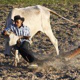 热门奇趣邀你看