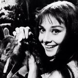 沐沐夕的第九个玫瑰坊