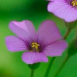 章新立生活大咖