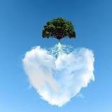 心灵鸡汤伴你成长