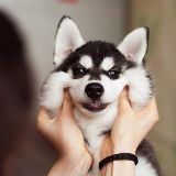 康康酱的吃瓜博