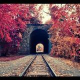 我们都是科学家