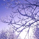 昨日形象