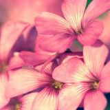 水宵雨生活大咖