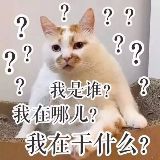 爱生活的仙女鹅