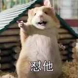 综合格斗视频