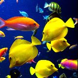 中医健康养生记