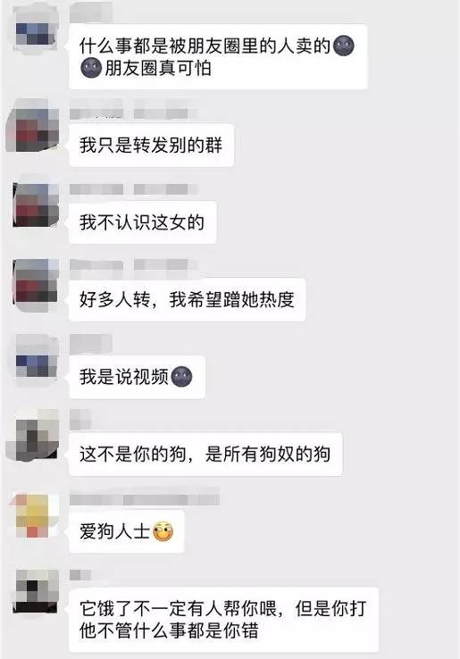 爱狗人士qq群图片