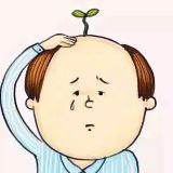 小猪猪的龙妹妹