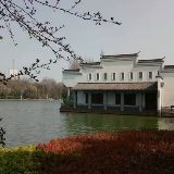 疏灯影里