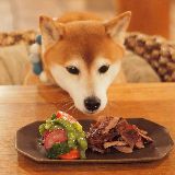 爱吃肉的口袋妖怪