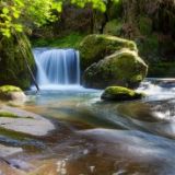 郜郜娱乐小分队