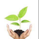 活成梦想中的模样