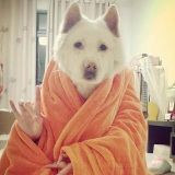 牛哥笑工坊让你笑不停