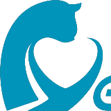 野林猫中亚观察