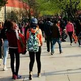 西安周末去哪儿玩