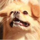 游戏中的那些搞笑事