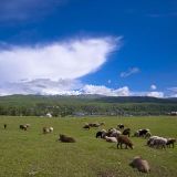 为爱你不够勇敢