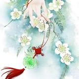 夏知君
