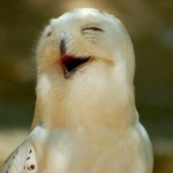 云丹说娱乐