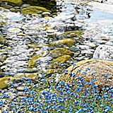 陈之柔生活小分队